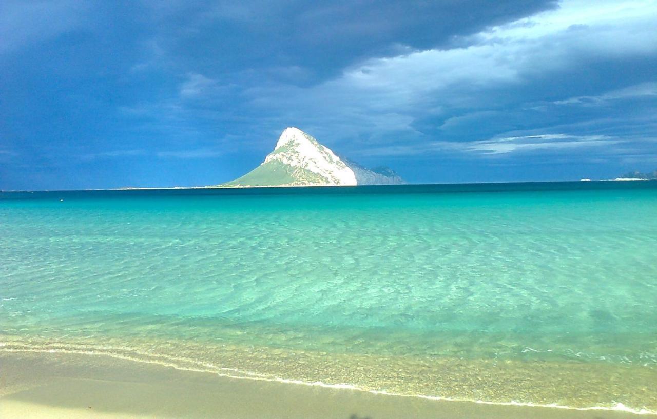 Frina Di Mari B&B San Teodoro  Exteriör bild