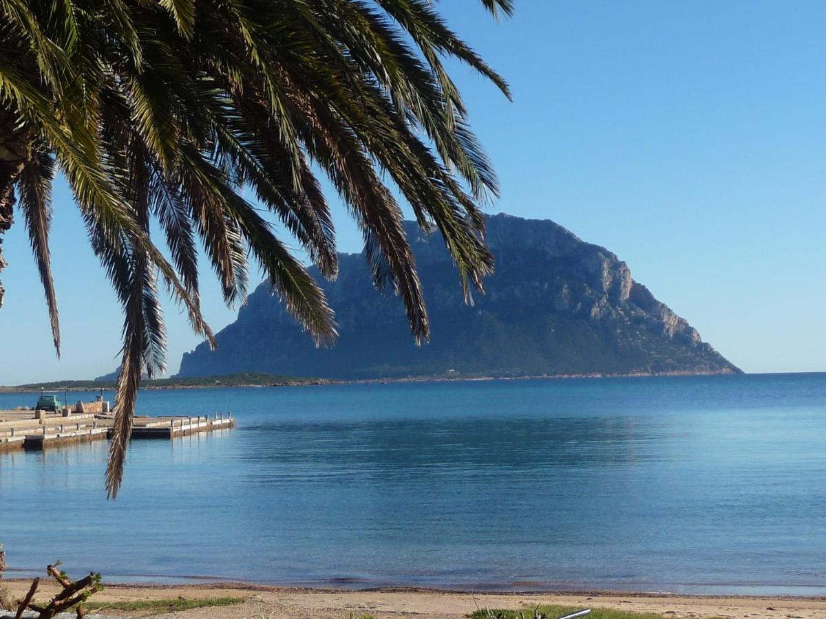 Frina Di Mari B&B San Teodoro  Exteriör bild