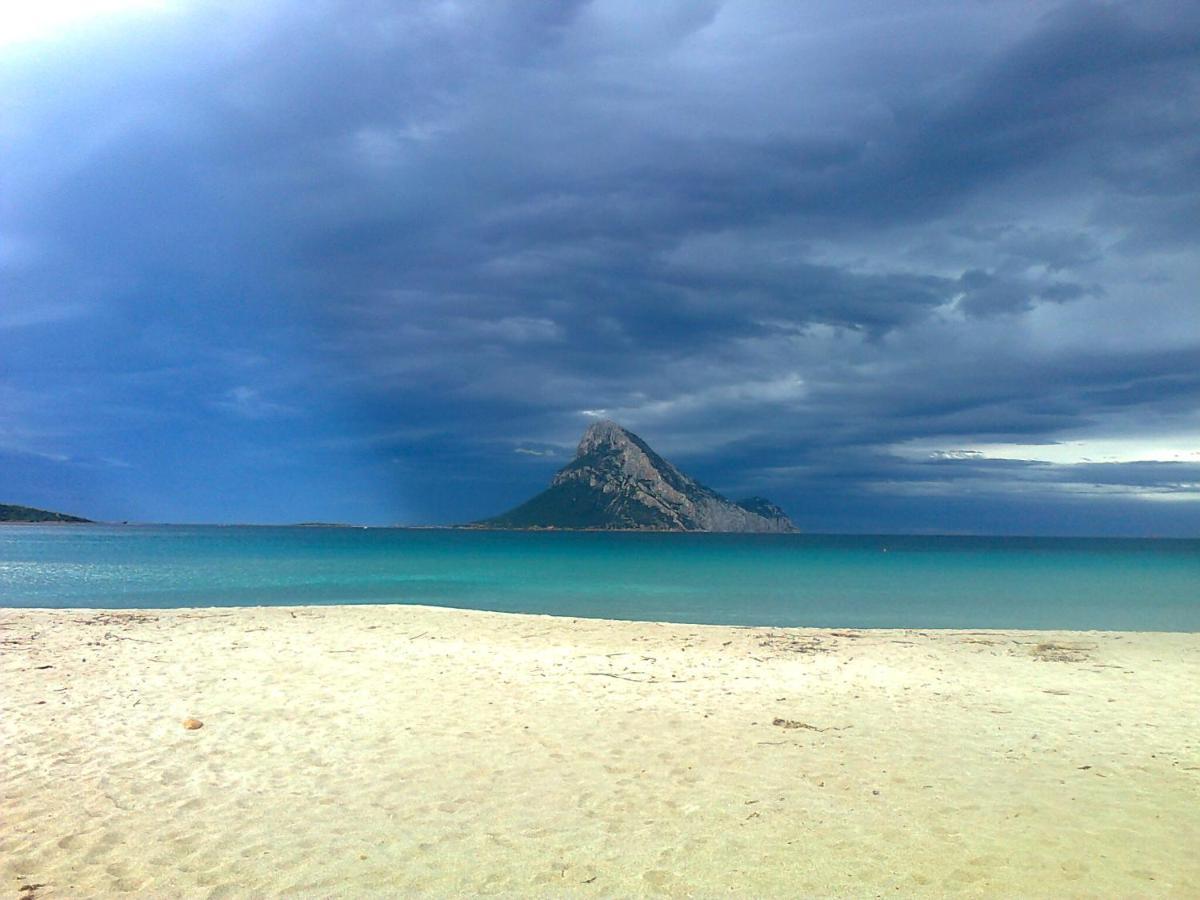 Frina Di Mari B&B San Teodoro  Exteriör bild