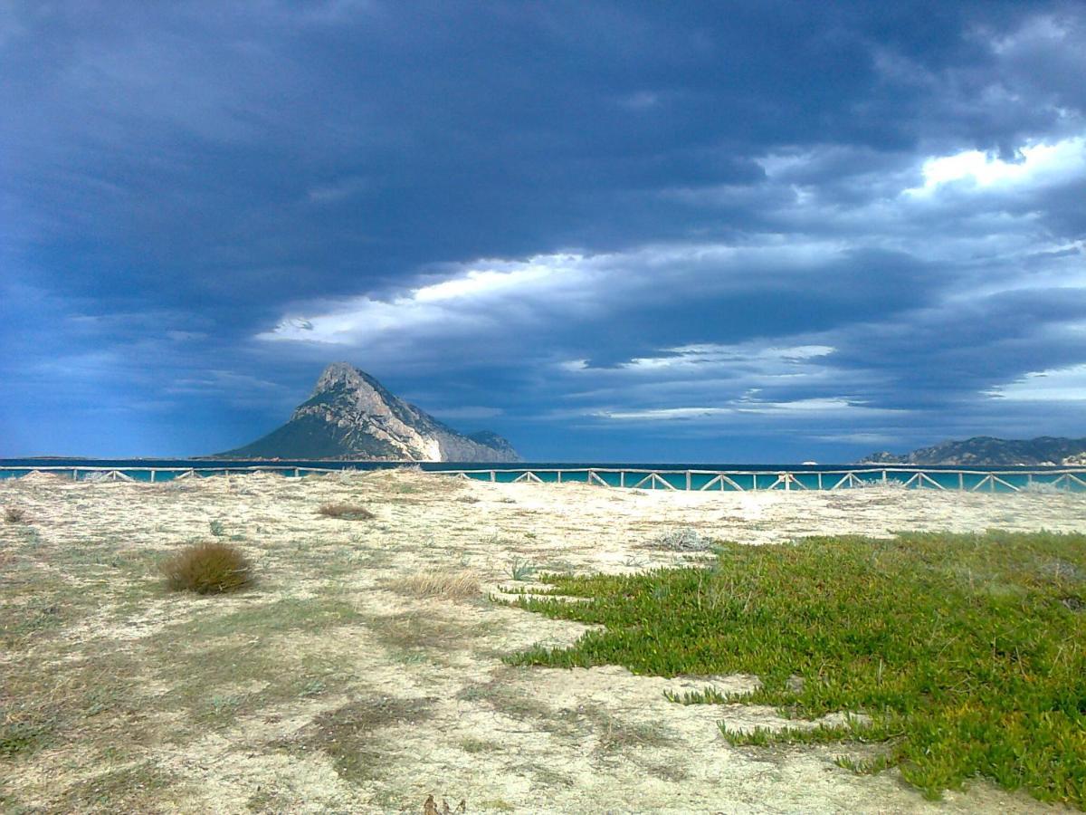 Frina Di Mari B&B San Teodoro  Exteriör bild