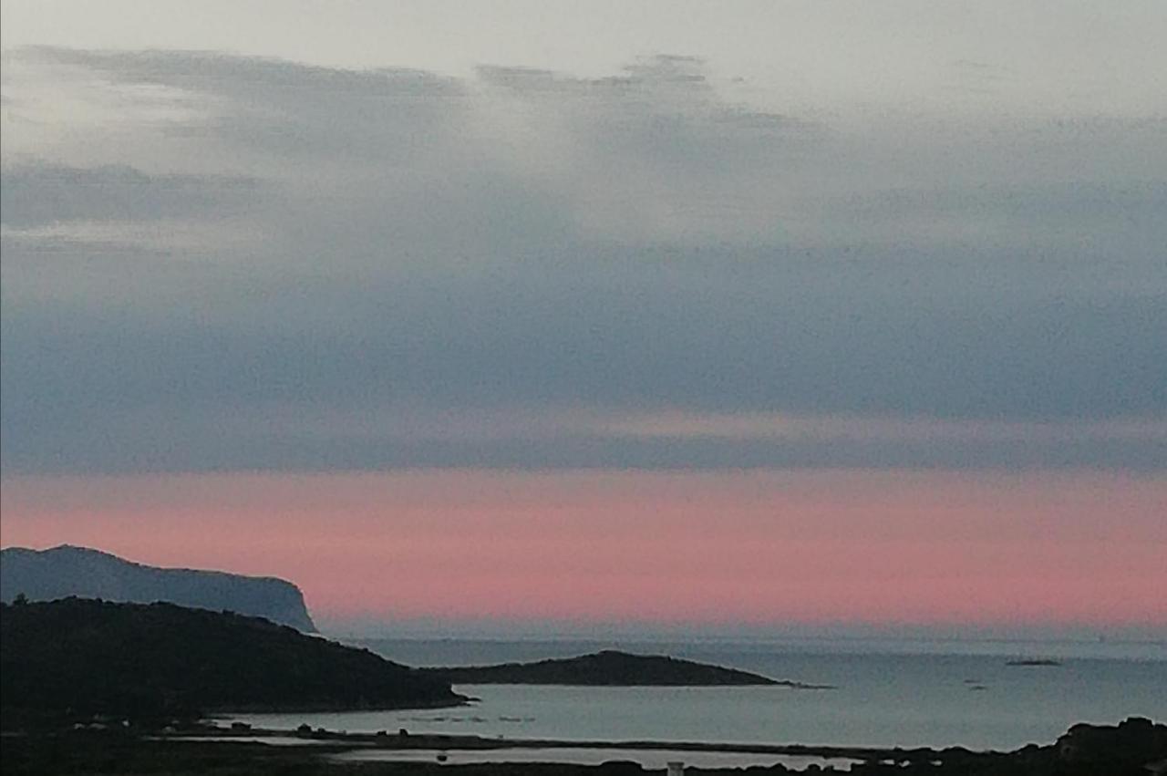 Frina Di Mari B&B San Teodoro  Exteriör bild