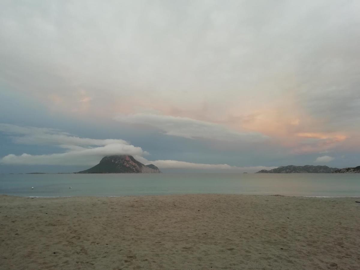 Frina Di Mari B&B San Teodoro  Exteriör bild
