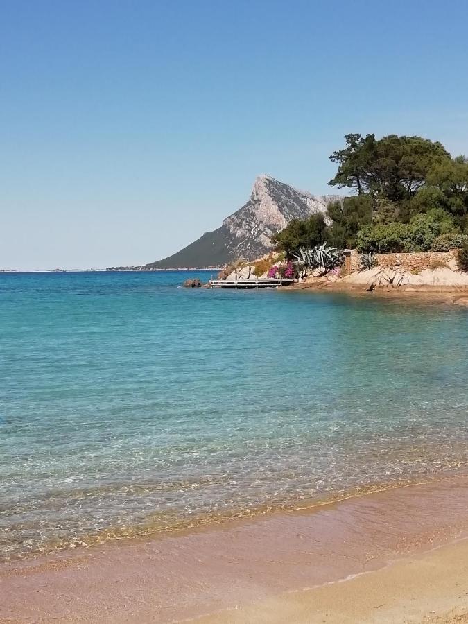 Frina Di Mari B&B San Teodoro  Exteriör bild